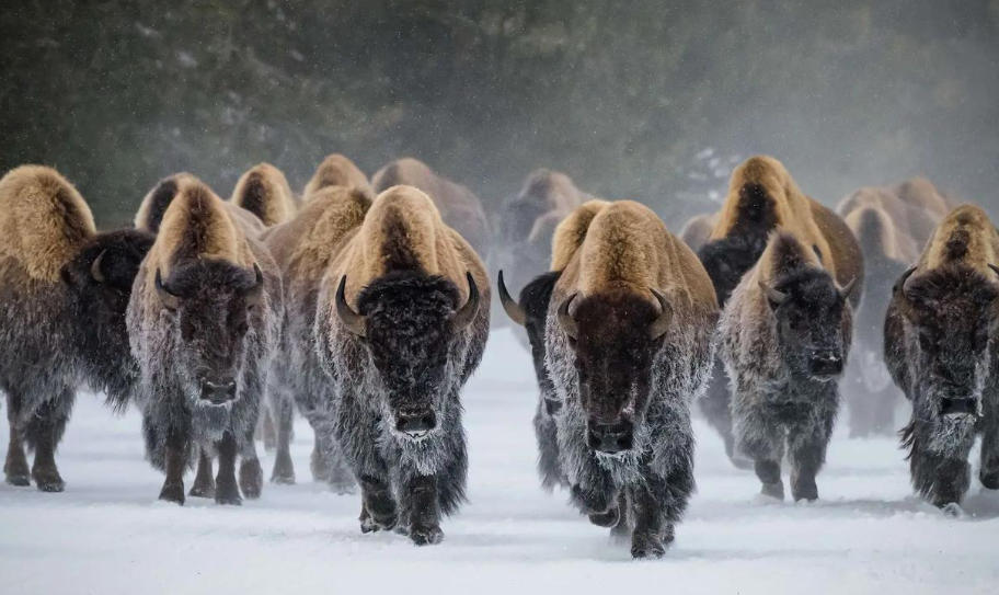 婺源信息港有限公司轮播图3